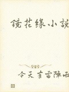 镜花缘小说