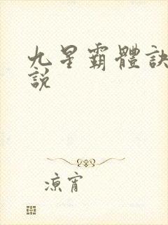 九星霸体诀 小说