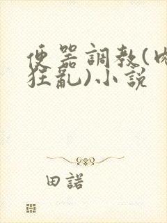 便器调教(肉体狂乱)小说封面