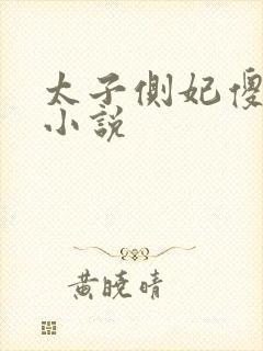 太子侧妃傻乎乎小说