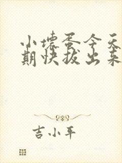 小坏蛋今天危险期快拔出来