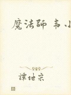 魔法师 韦小宝封面