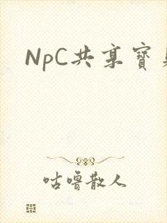 NpC共享宝贝