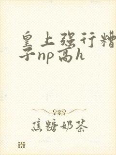 皇上强行糟蹋太子np高h