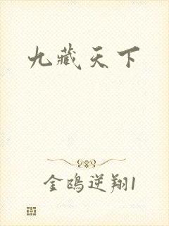 九藏天下封面