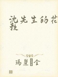 沈先生的花式调教