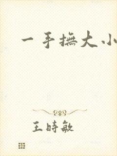 一手抚大小说