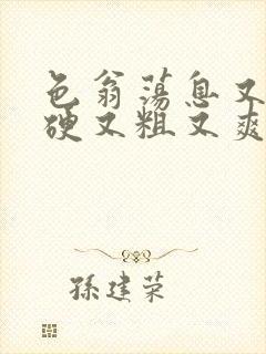 色翁荡息又大又硬又粗又爽