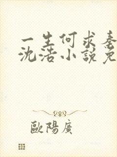 一生何求秦菲雪沈浩小说免费阅读全文封面