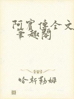 阿宾传全文阅读 笔趣阁