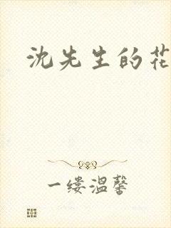 沈先生的花式封面