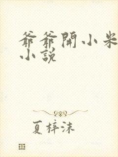 爷爷开小米的包小说