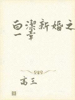 白洁新婚之夜第一章