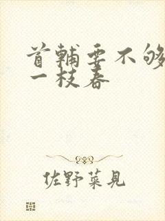 首辅要不够po一枝春