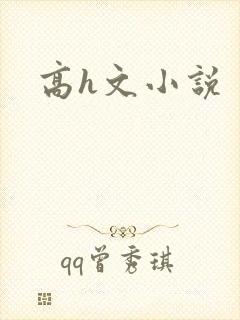 高h文小说