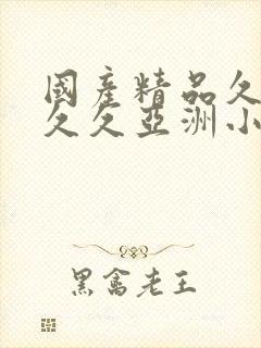 国产精品久久久久久亚洲小说