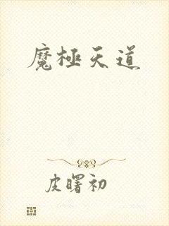魔极天道封面