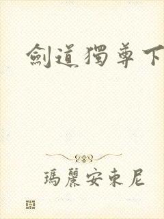 剑道独尊下载