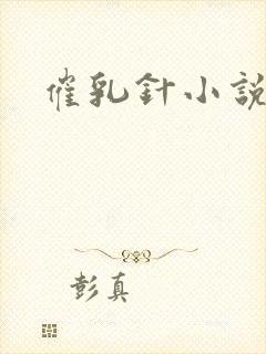 催乳针小说