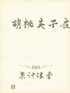 胡桃夹子夜未眠封面