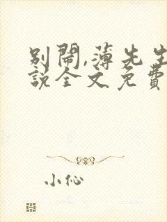 别闹,薄先生小说全文免费阅读