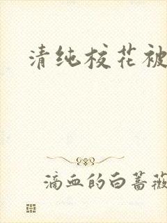 清纯校花被c封面