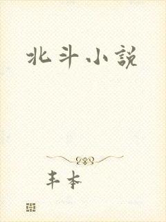 北斗小说