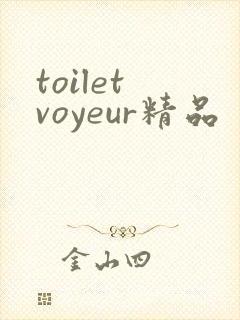 toilet voyeur精品