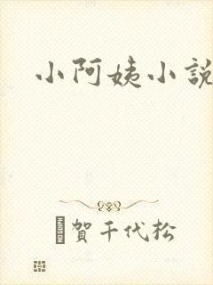 小阿姨小说