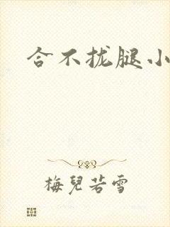 合不拢腿小说