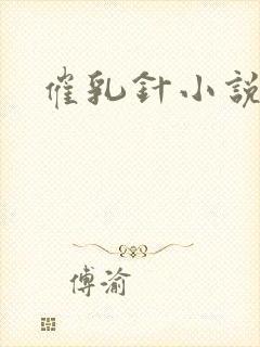 催乳针小说封面