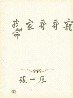 我家哥哥宠妹如命封面