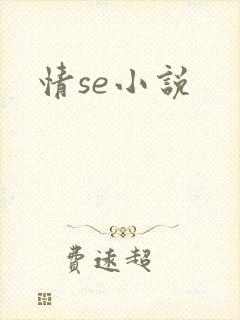 情se小说