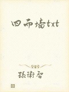 四面墙txt