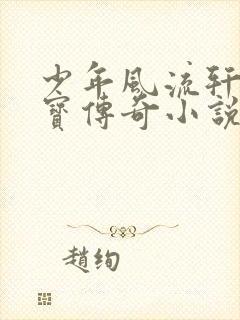 少年风流轩辕大宝传奇小说