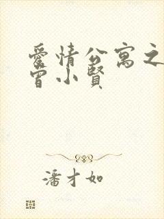 爱情公寓之极品曾小贤封面