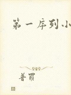 第一序列小说封面