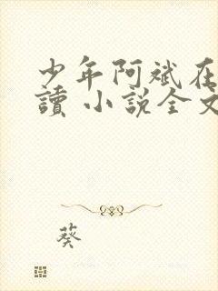 少年阿斌在线阅读 小说全文免费