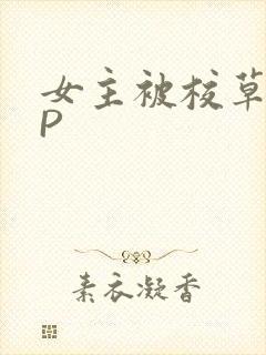 女主被校草们NP