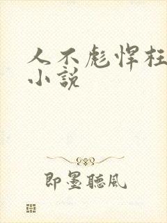 人不彪悍枉少年小说