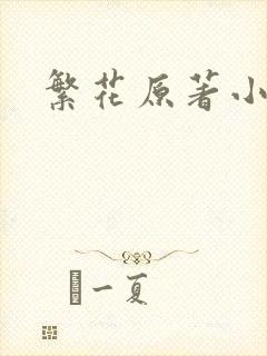 繁花原著小说