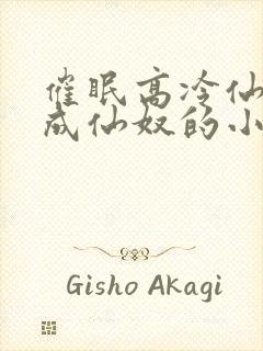 催眠高冷仙奴变成仙奴的小说