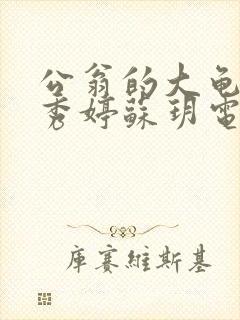 公翁的大龟挺进秀婷苏玥电影