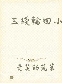 三线轮回小说