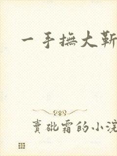 一手抚大靳北封面