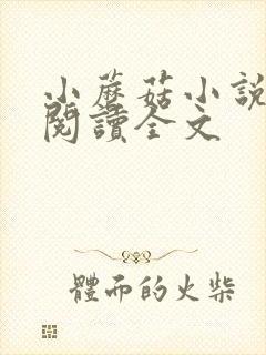 小蘑菇小说免费阅读全文