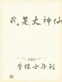 我是大神仙小说