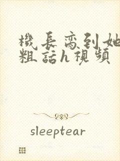 机长脔到她哭h粗话h视频