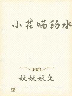 小花喵的水蜜桃封面