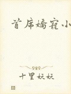 首席娇宠小情人封面